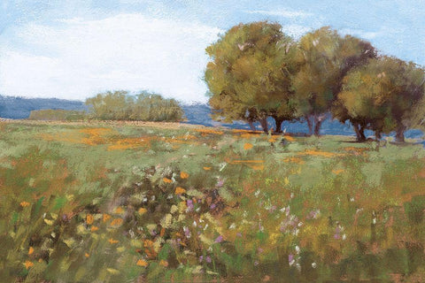 Spring Day Black Ornate Wood Framed Art Print with Double Matting by Cassell, Sherri