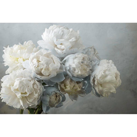 A Gift of Peonies White Modern Wood Framed Art Print by Frank, Assaf
