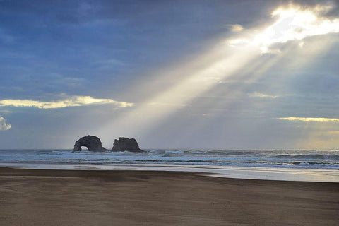 A Break of Sunshine White Modern Wood Framed Art Print with Double Matting by Frates, Dennis