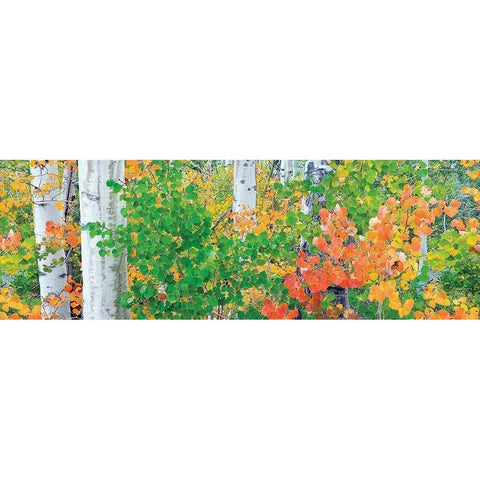 Forest Colors White Modern Wood Framed Art Print by Frates, Dennis
