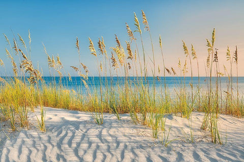 I Love the Beach White Modern Wood Framed Art Print with Double Matting by Frates, Dennis