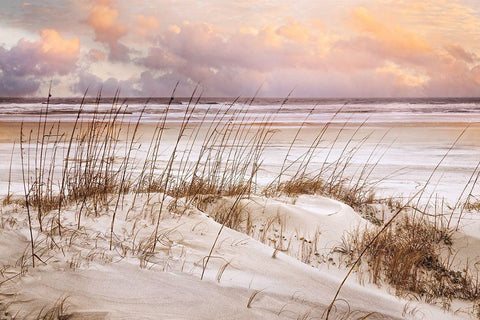 Whispers In the Dunes White Modern Wood Framed Art Print with Double Matting by Celebrate Life Gallery