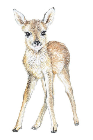 Baby Deer Black Ornate Wood Framed Art Print with Double Matting by Markelova, Elena