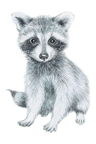 Baby Raccoon White Modern Wood Framed Art Print with Double Matting by Markelova, Elena