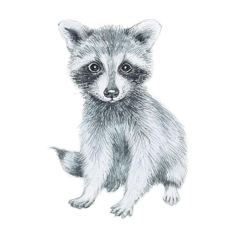 Baby Raccoon Black Modern Wood Framed Art Print with Double Matting by Markelova, Elena