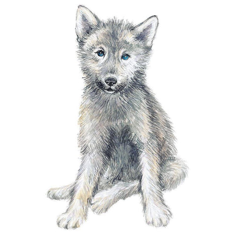 Baby Coyote Black Modern Wood Framed Art Print with Double Matting by Markelova, Elena