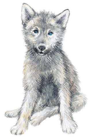 Baby Coyote Black Ornate Wood Framed Art Print with Double Matting by Markelova, Elena