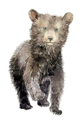 Baby Bear Black Ornate Wood Framed Art Print with Double Matting by Markelova, Elena