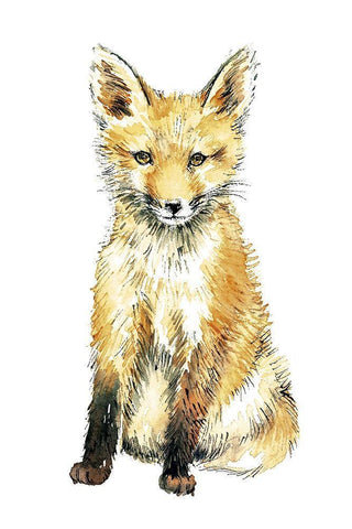 Baby Fox White Modern Wood Framed Art Print with Double Matting by Markelova, Elena