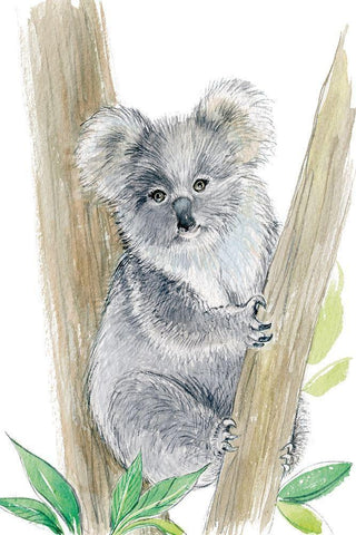 Baby Koala White Modern Wood Framed Art Print with Double Matting by Markelova, Elena