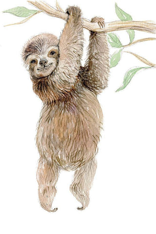 Baby Sloth Black Ornate Wood Framed Art Print with Double Matting by Markelova, Elena
