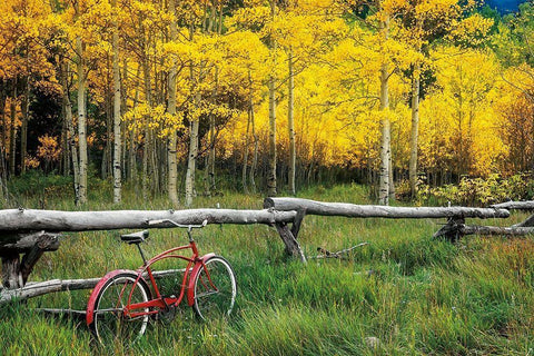 Red Cruiser Black Ornate Wood Framed Art Print with Double Matting by Smith, Ken