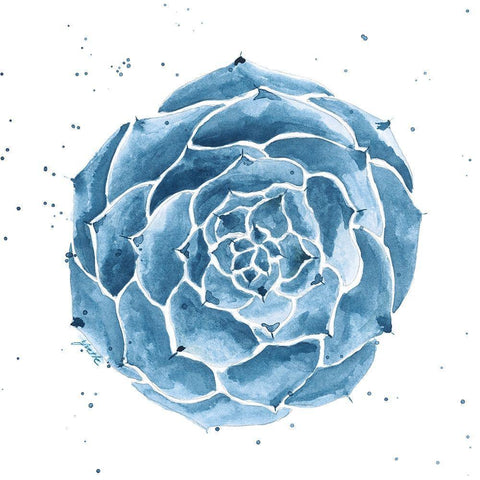 Midnight Succulent IV Black Modern Wood Framed Art Print with Double Matting by St.Amant, Yvette