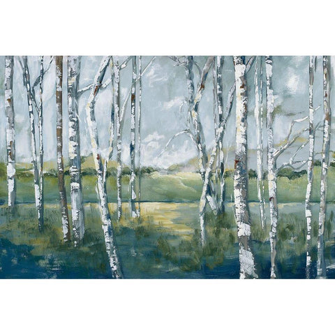 Woodland Magic Black Modern Wood Framed Art Print with Double Matting by Buckley, Mary Parker