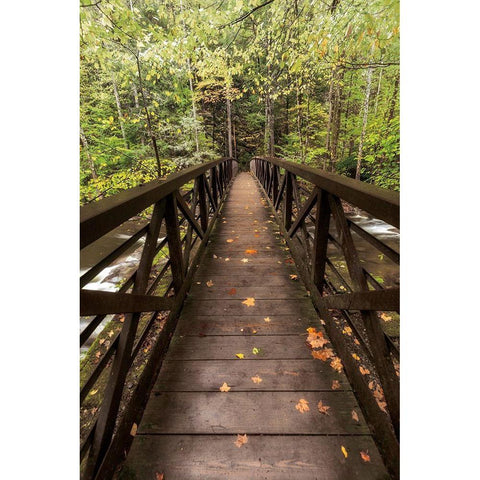 Autumns Bridge Black Modern Wood Framed Art Print by Burt, D.