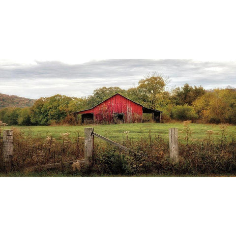 Down On The Farm White Modern Wood Framed Art Print by Burt, D.