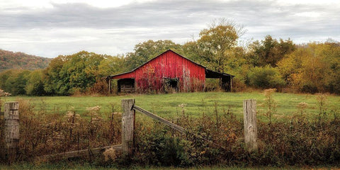 Down On The Farm White Modern Wood Framed Art Print with Double Matting by Burt, D.