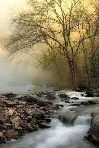 One Spring Morning White Modern Wood Framed Art Print with Double Matting by Burt, D.