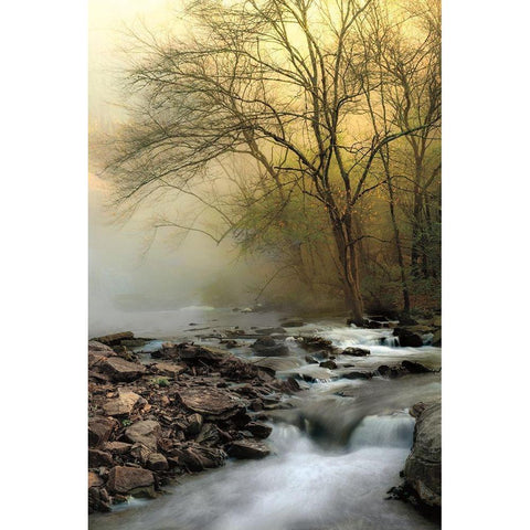 One Spring Morning White Modern Wood Framed Art Print by Burt, D.