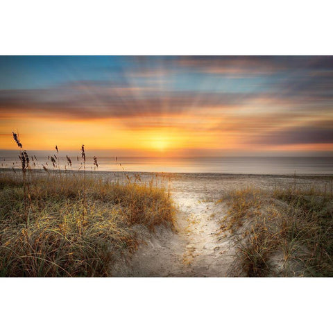 Sandy Walk At The Dunes Gold Ornate Wood Framed Art Print with Double Matting by Celebrate Life Gallery