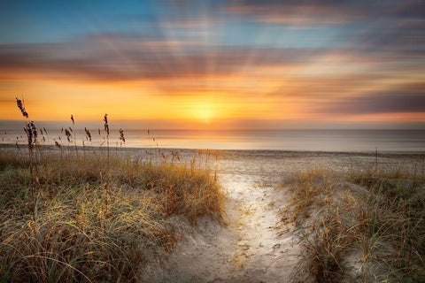 Sandy Walk At The Dunes White Modern Wood Framed Art Print with Double Matting by Celebrate Life Gallery