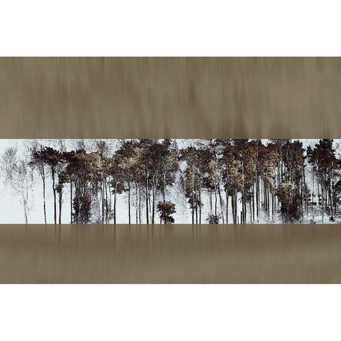 Golden Faith I Black Modern Wood Framed Art Print with Double Matting by Hoh, Roy