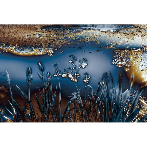 Lentic Dream I Gold Ornate Wood Framed Art Print with Double Matting by Hoh, Roy