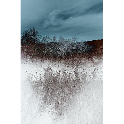Lentic Dream II Black Modern Wood Framed Art Print by Hoh, Roy