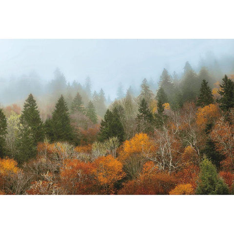 Autumn Mountain White Modern Wood Framed Art Print by Burt, D.