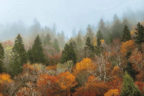 Autumn Mountain White Modern Wood Framed Art Print with Double Matting by Burt, D.