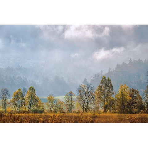 Lifting Fog White Modern Wood Framed Art Print by Burt, D.