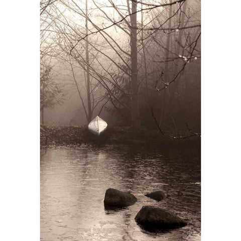 Silvered Morning Pond Black Modern Wood Framed Art Print with Double Matting by Ross, Heather