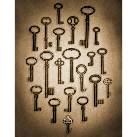 Key Elements II Black Modern Wood Framed Art Print with Double Matting by Ross, Heather