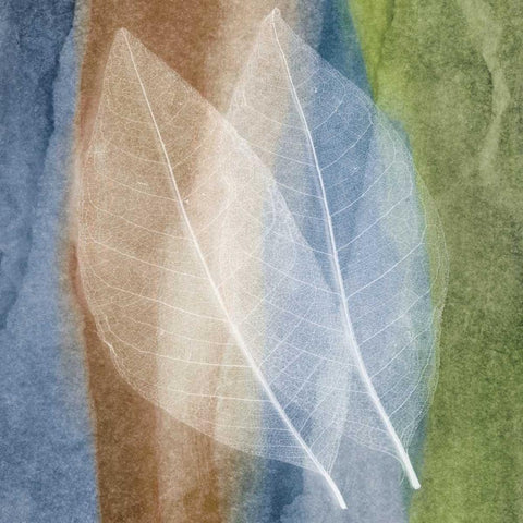 Leaf Structure I Black Modern Wood Framed Art Print by Rehner, John