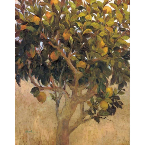 Limonero Black Modern Wood Framed Art Print with Double Matting by Ripoll, J.