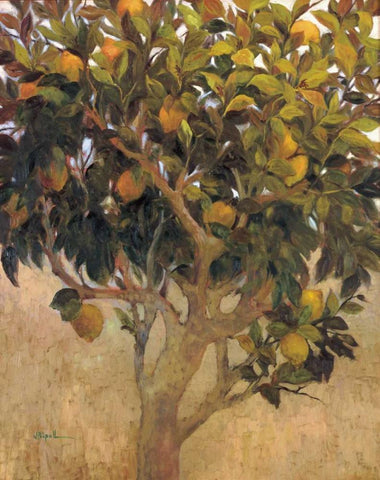 Limonero Black Ornate Wood Framed Art Print with Double Matting by Ripoll, J.