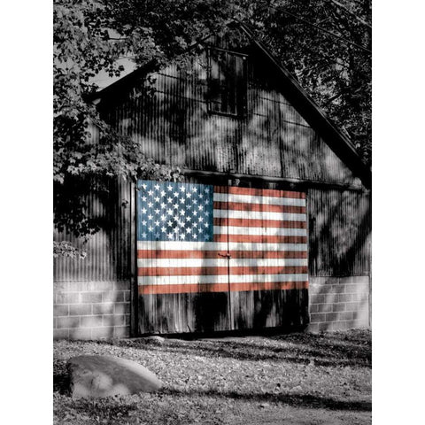 Made in the USA White Modern Wood Framed Art Print by Roffman, Richard