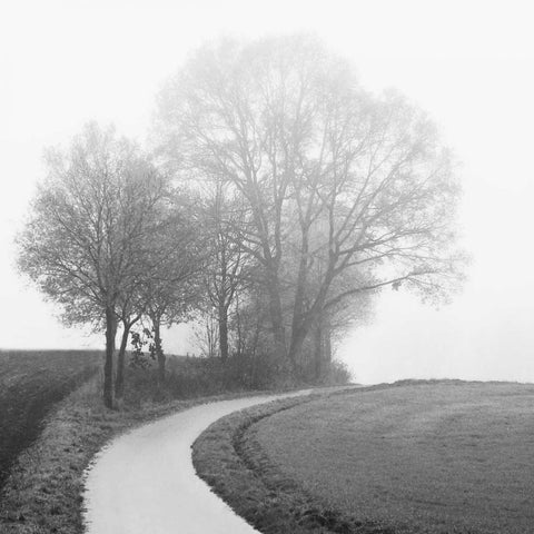 Foggy Afternoon White Modern Wood Framed Art Print by Szilagyi, Ily