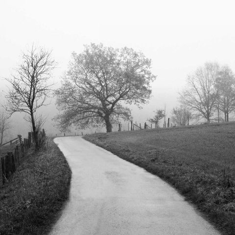 Foggy Afternoon Black Modern Wood Framed Art Print by Szilagyi, Ily