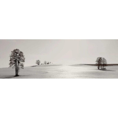 Clear On the Hillcrest Black Modern Wood Framed Art Print with Double Matting by Szilagyi, Ily