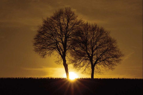 A New Beginning White Modern Wood Framed Art Print with Double Matting by Szilagyi, Ily