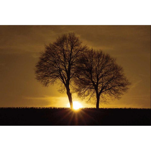 A New Beginning Black Modern Wood Framed Art Print with Double Matting by Szilagyi, Ily