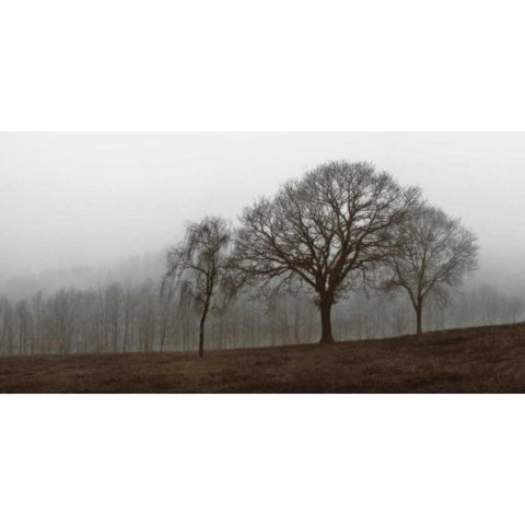 Autumn Fog Black Modern Wood Framed Art Print by Szilagyi, Ily