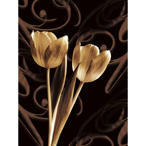 Floral Eloquence I Gold Ornate Wood Framed Art Print with Double Matting by Szilagyi, Ily