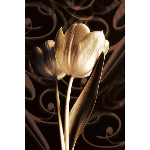 Floral Eloquence  II Gold Ornate Wood Framed Art Print with Double Matting by Szilagyi, Ily