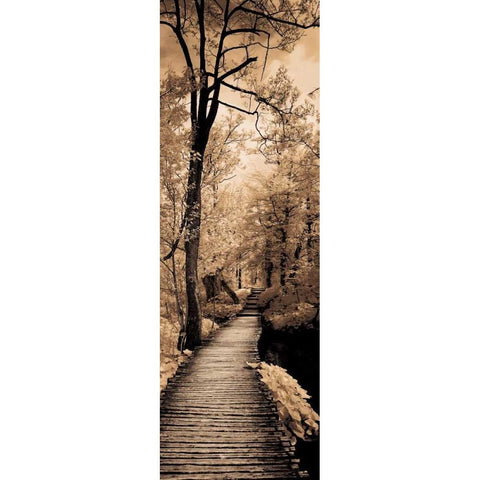 A Quiet Stroll I  Black Modern Wood Framed Art Print by Szilagyi, Ily