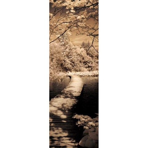 A Quiet Stroll II White Modern Wood Framed Art Print by Szilagyi, Ily