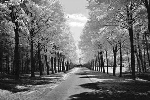 Sublime White Modern Wood Framed Art Print with Double Matting by Szilagyi, Ily