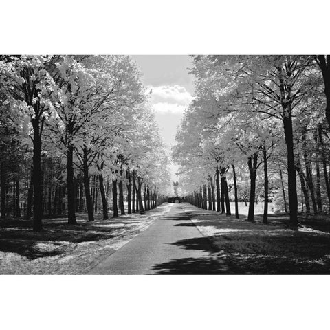 Sublime White Modern Wood Framed Art Print by Szilagyi, Ily