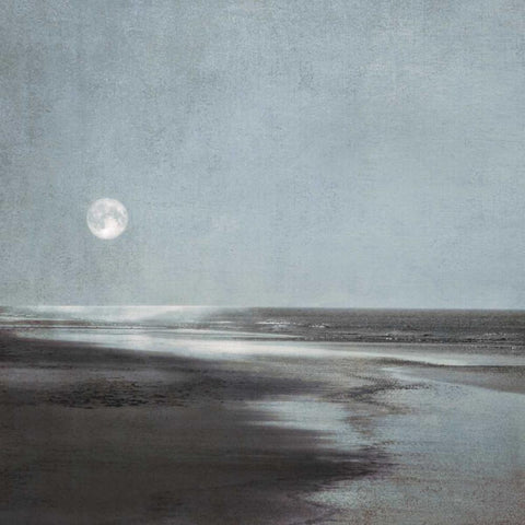 Moonlit Beach Black Ornate Wood Framed Art Print with Double Matting by Szilagyi, Ily